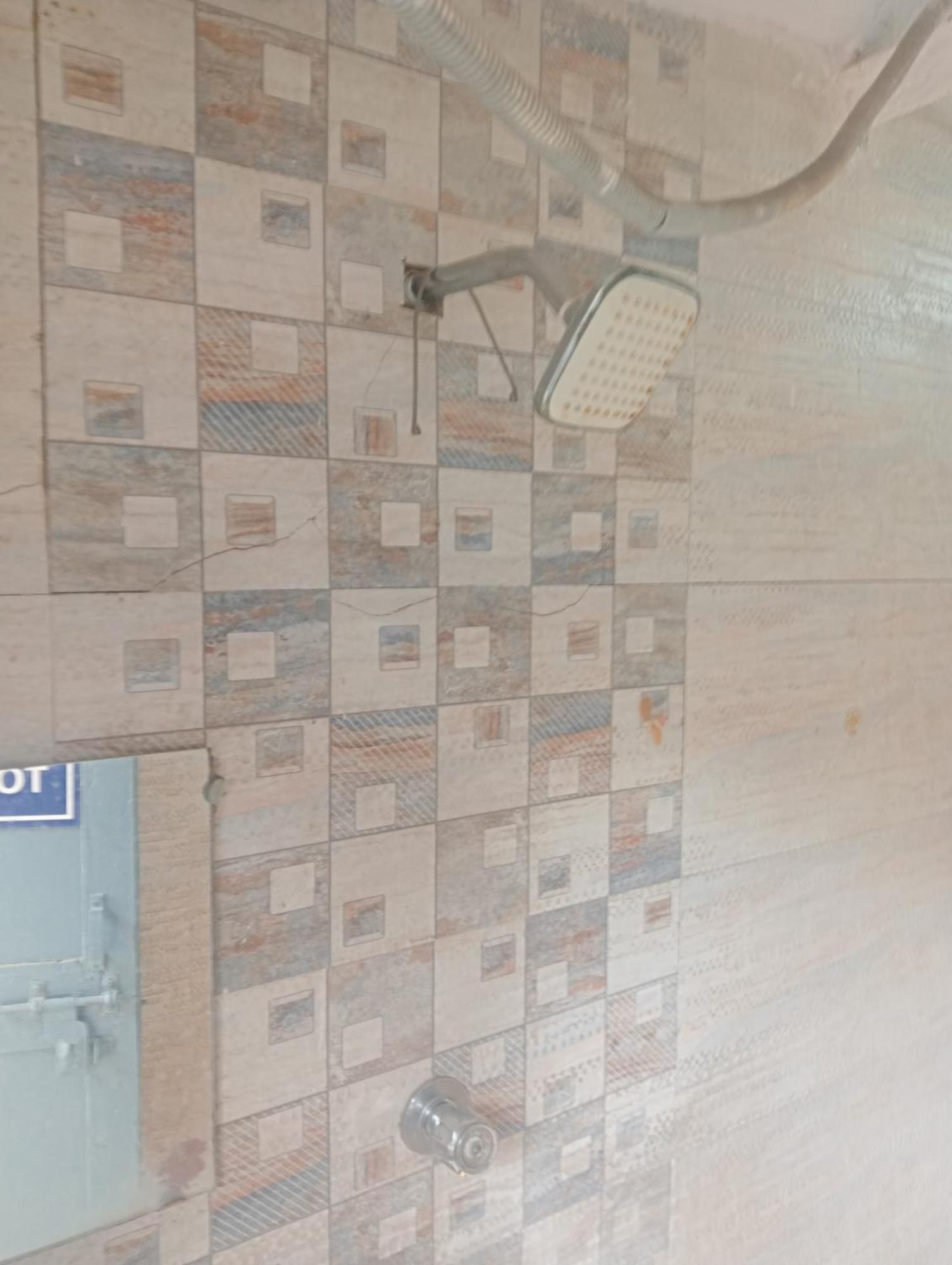 Ever Green Guest House Travel & Pg New Delhi Exterior foto