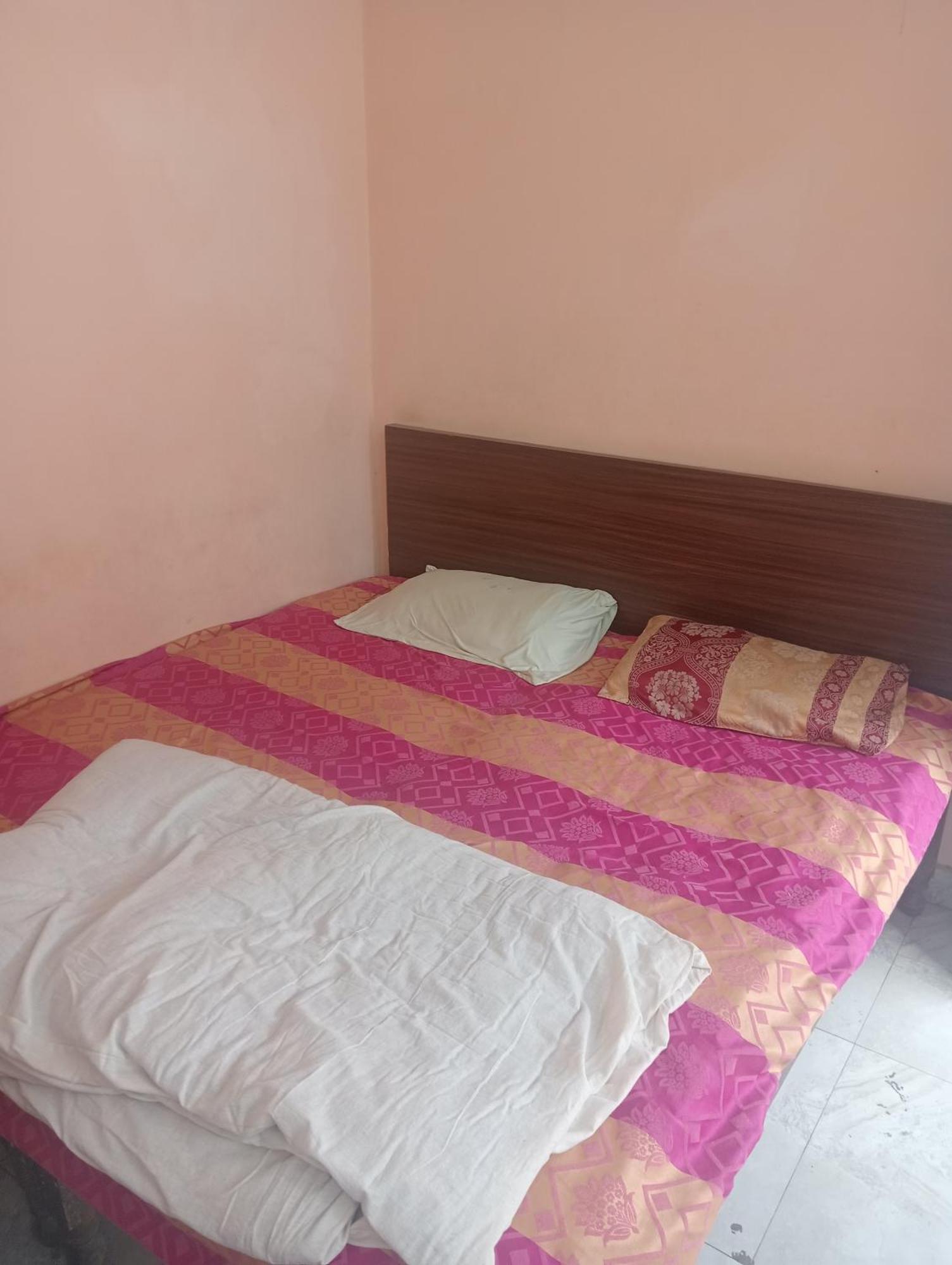 Ever Green Guest House Travel & Pg New Delhi Exterior foto
