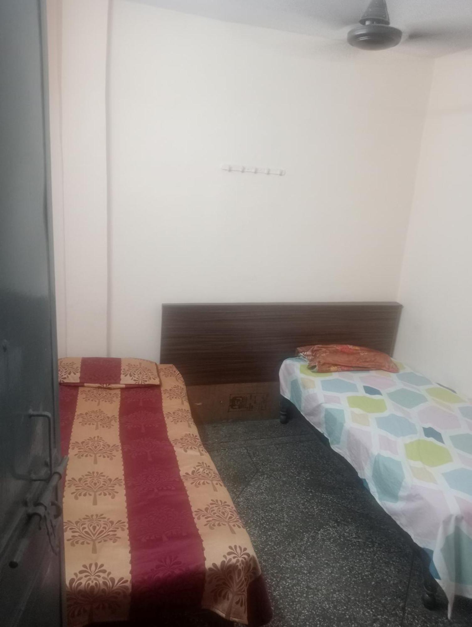 Ever Green Guest House Travel & Pg New Delhi Exterior foto